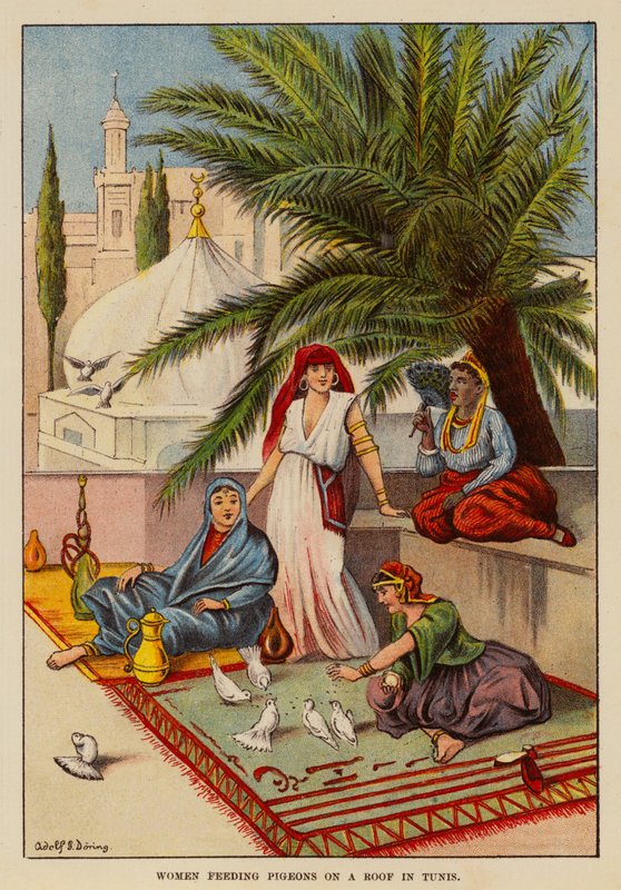 Women feeding pigeons on a roof in Tunis by English School