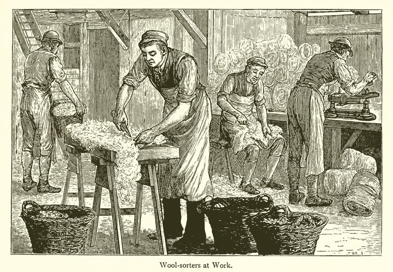 Wool-Sorters by English School