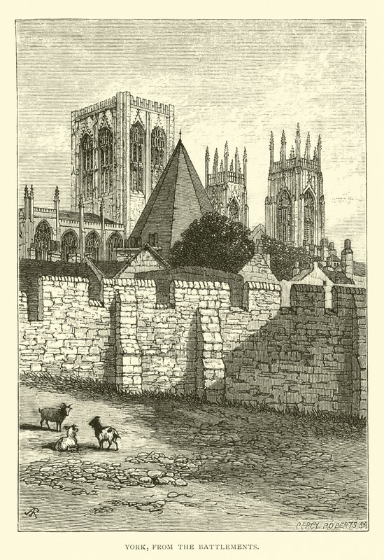 York, from Battlements by English School