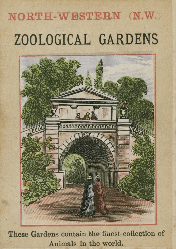 Zoological Gardens by English School