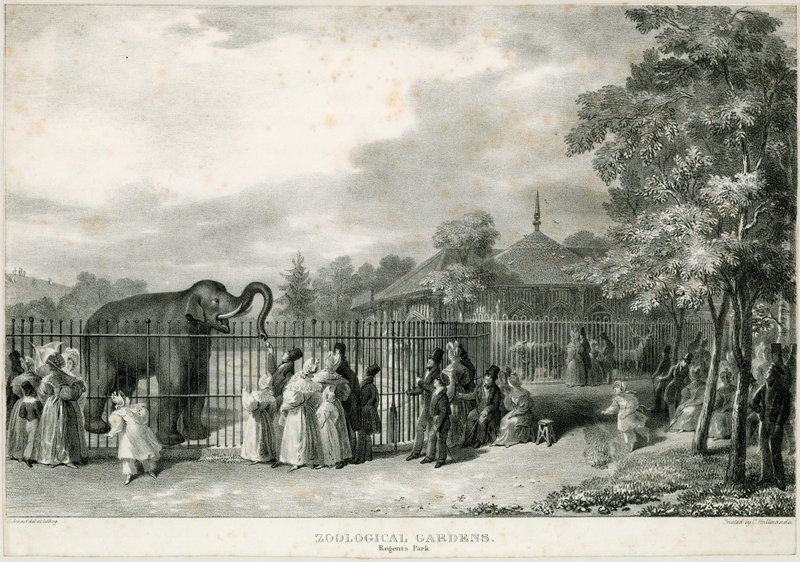 Zoological Gardens, Regents Park by English School