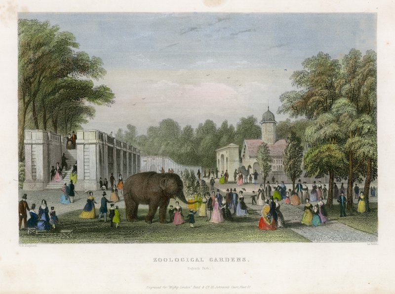 Zoological Gardens, Regents Park by English School