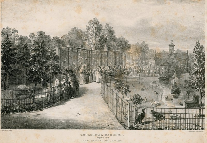 Zoological Gardens, Regents Park by English School