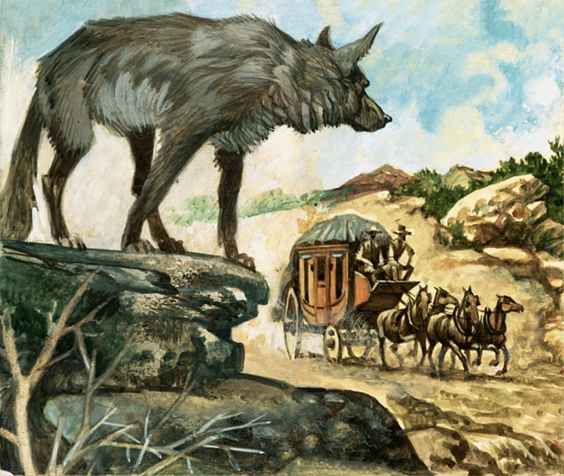 Hungry wolves were among the hazards which beset stage coach travellers by English School