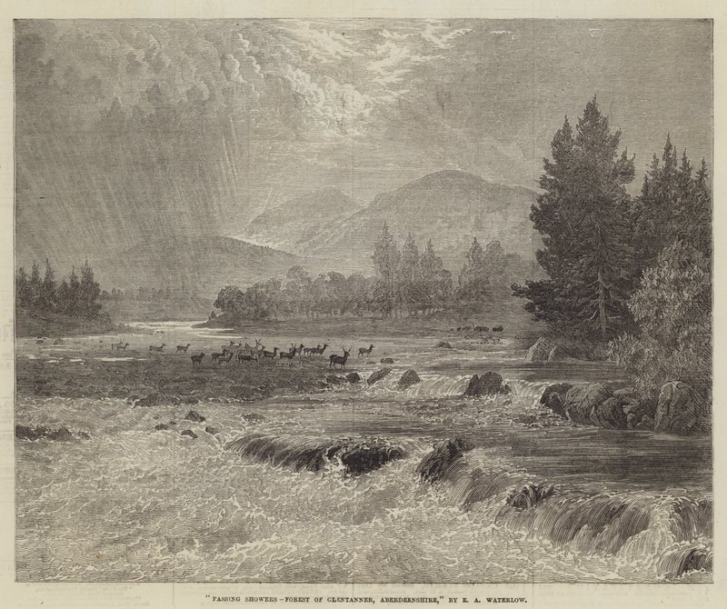 Passing Showers, Forest of Glentanner, Aberdeenshire by Ernest Albert Waterlow