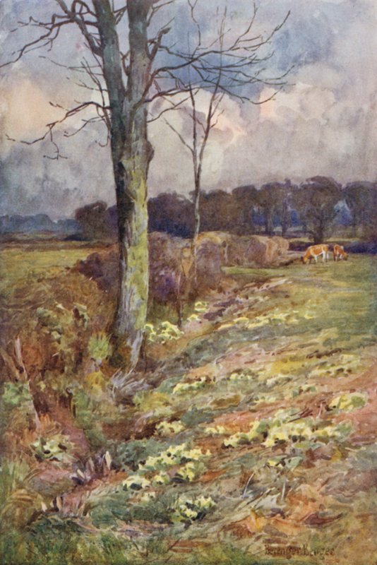 The Widening Vista by Ernest Benger or Berenger