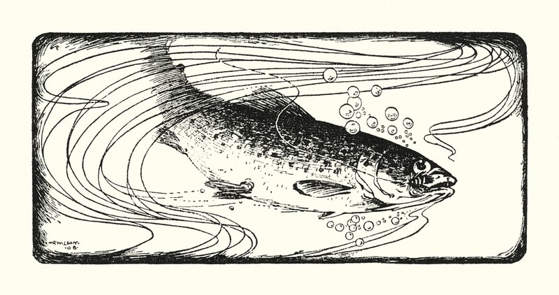 Salmon Hooked by Ernest Edward Briggs