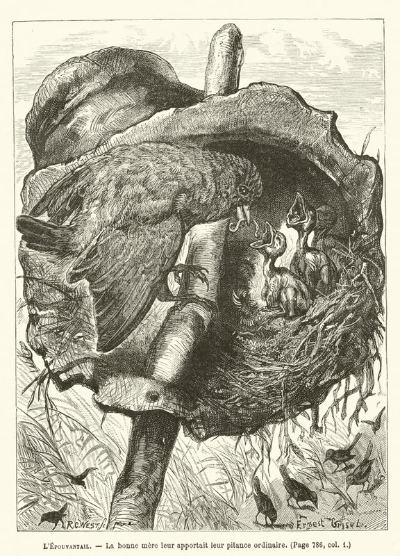 The Scarecrow, The good mother brought them their usual meal by Ernest Henry Griset