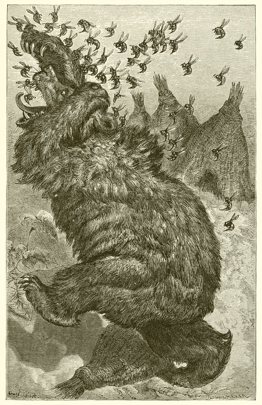 The Bear and the Beehives by Ernest Henry Griset