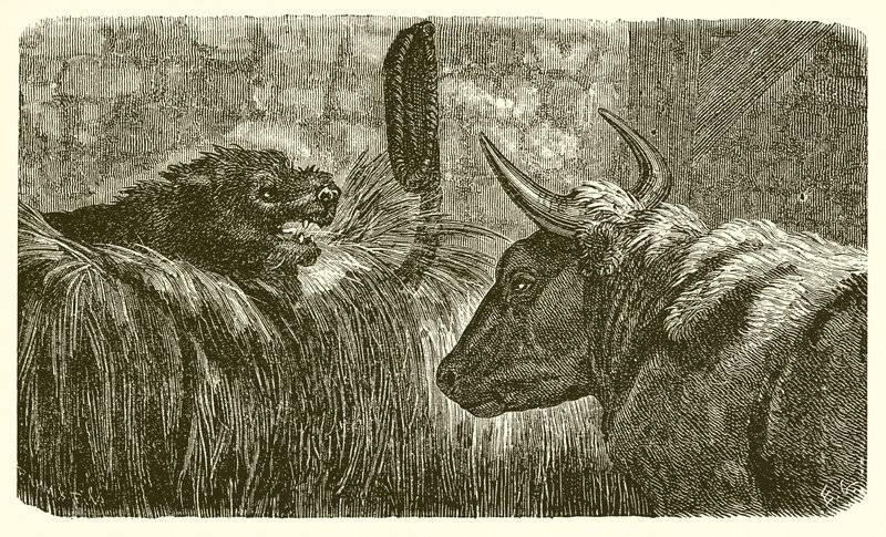 The Dog in the Manger by Ernest Henry Griset