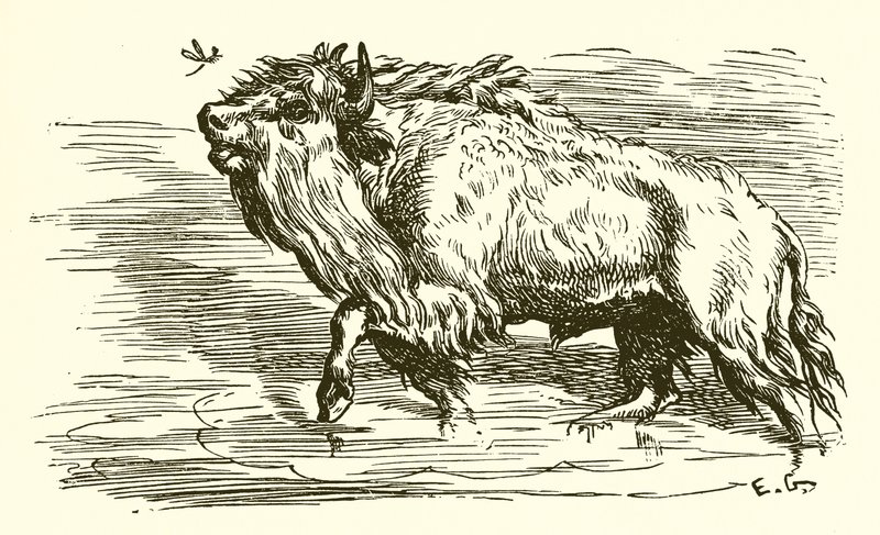 The Gnat and the Bull by Ernest Henry Griset