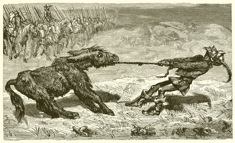 The Sensible Ass by Ernest Henry Griset