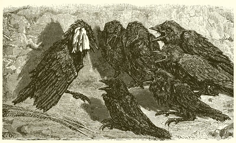 The Vain Jackdaw by Ernest Henry Griset