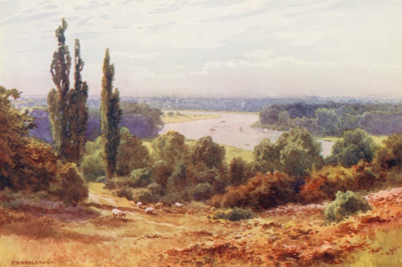 River Thames: The Thames, from Richmond Hill by Ernest William Haslehust