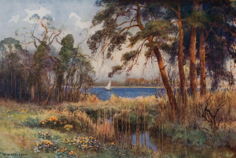 Wroxham Broad, Early Spring by Ernest William Haslehust