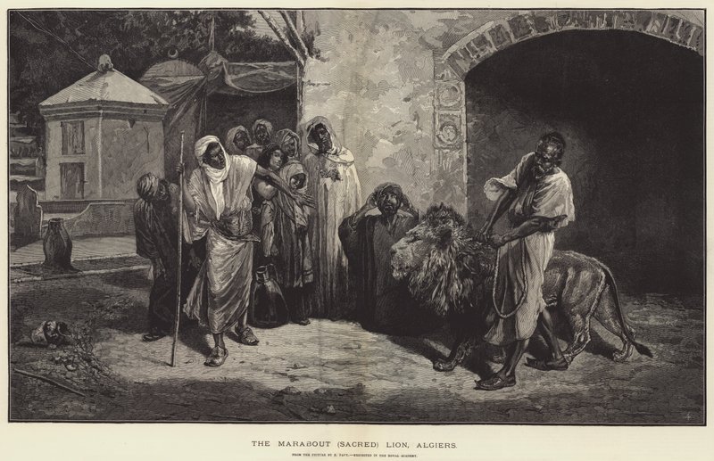 The Marabout Sacred Lion, Algiers by Eugene Pavy
