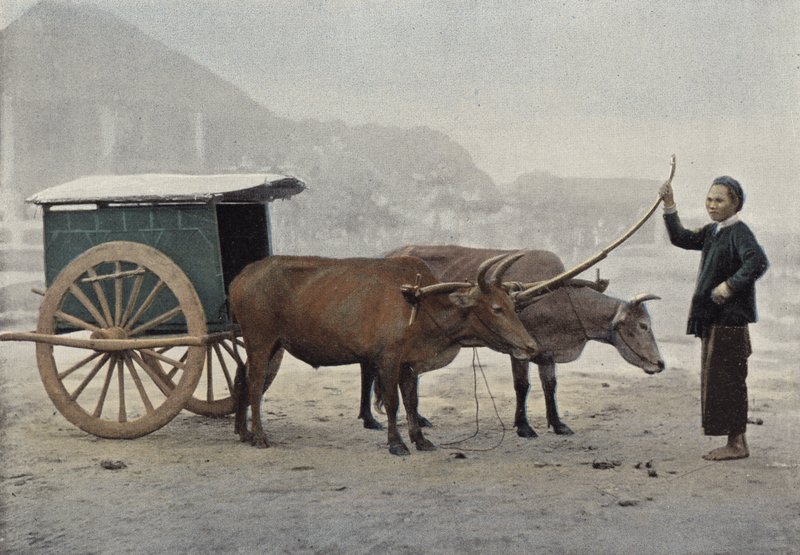 Annamite Carriage by European Photographer