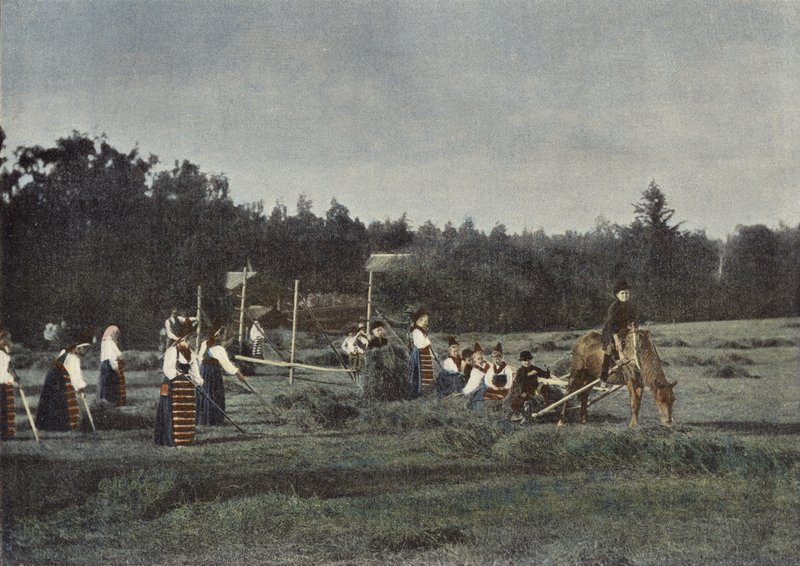 Haymaking in Dalecarlia, Sweden by European Photographer