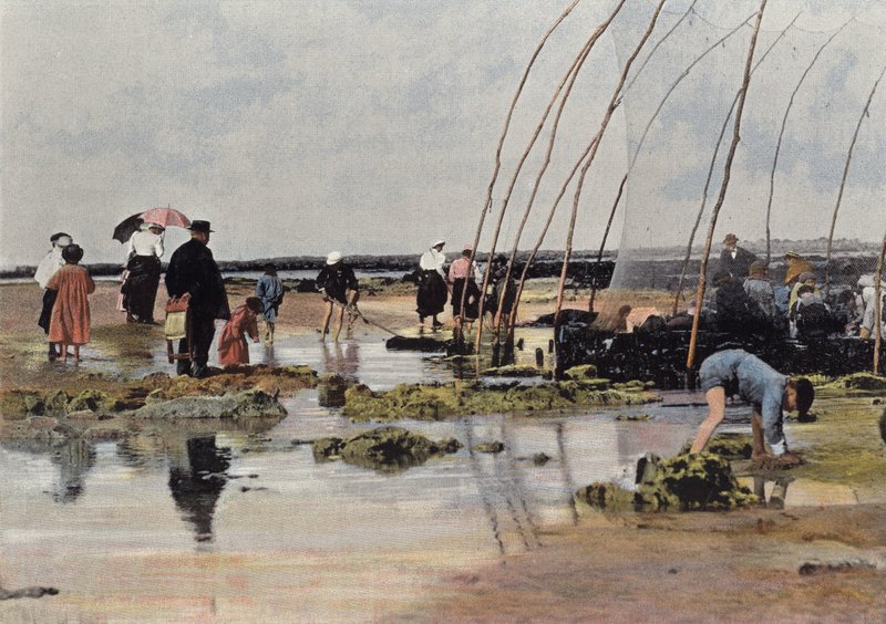 Fishing Around the Park by European Photographer