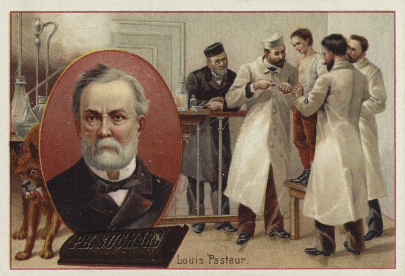 Louis Pasteur, French chemist and microbiologist by European School