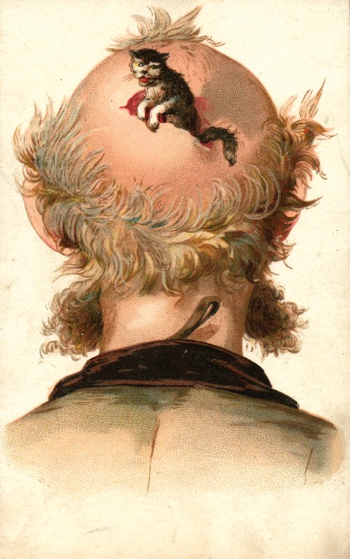 Male Head - with Cat Climbing Out by European School
