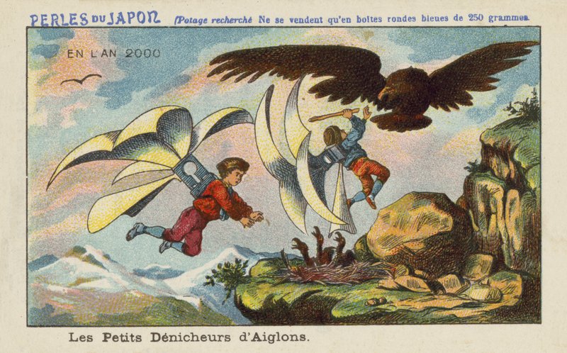 Robbing an eagle