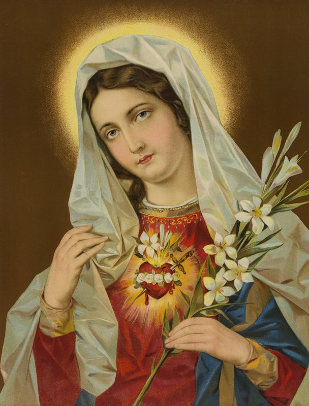 Sacred Heart of the Virgin Mary by European School