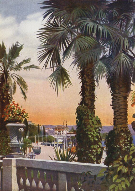Abbazia, now Opatija in Croatia: Veduta di palme dall
