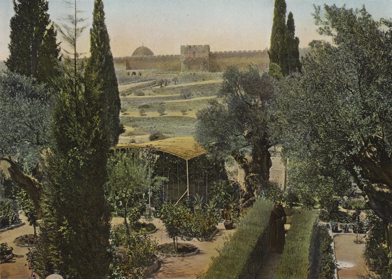 Garden of Gethsemane by European Photographer
