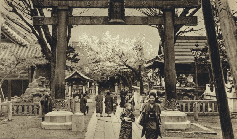 Japan, Street in Tokyo, time of cherry blossom by European Photographer
