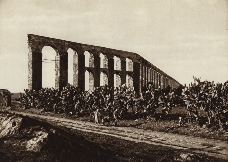 Roman aqueduct near Bardo, Tunis by European Photographer