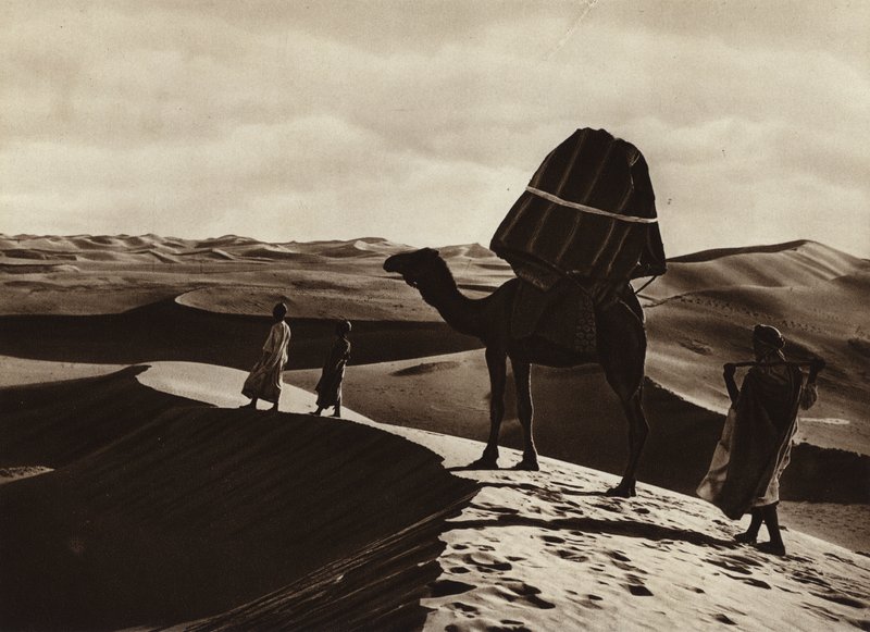 Transport of women through the Sahara by European Photographer