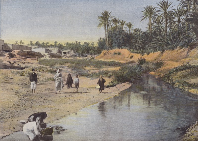 View of the Banks of the Oued-Gabes by European Photographer