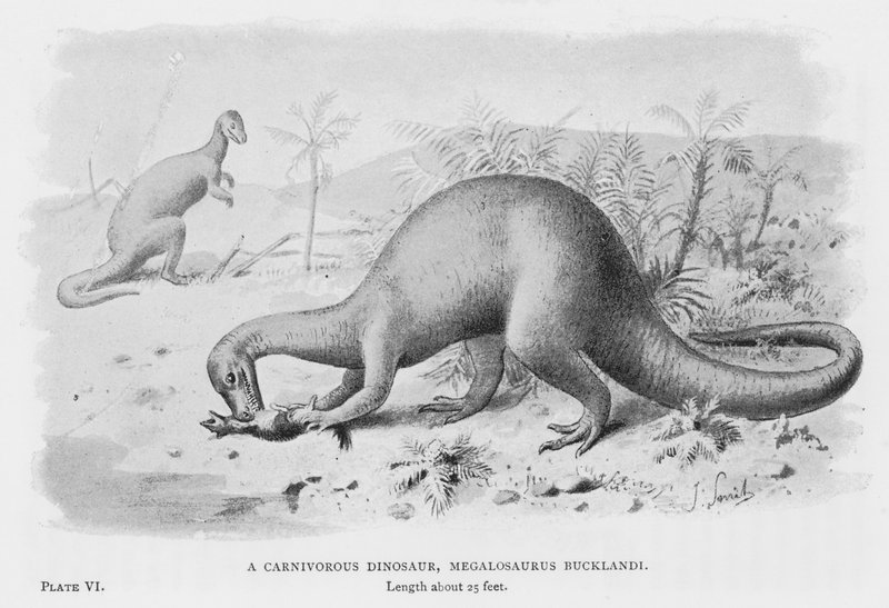A Carnivorous Dinosaur, Megalosaurus Bucklandi by European School