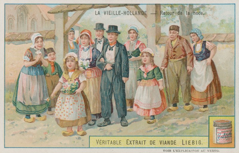 A Returning Wedding Party in Old Holland by European School