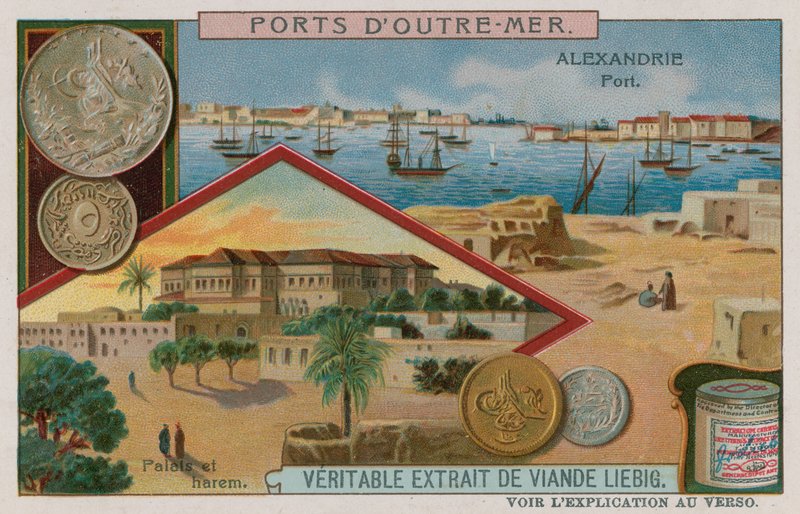 Alexandria by European School