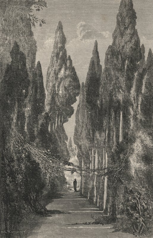 Avenue of the Generalife (engraving) by European School