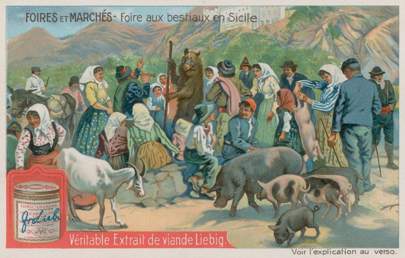 Animal Fair in Sicily by European School