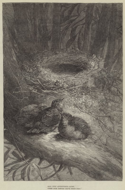 Bent upon Adventurous Quest, these Bold Birdies leave their Nest (engraving) by European School