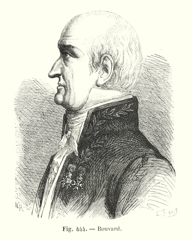 Bouvard (engraving) by European School