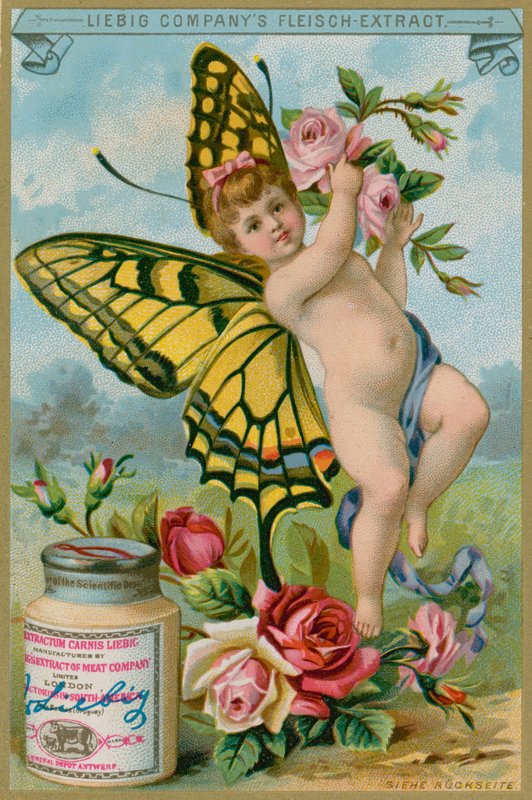 Butterfly Cherub with Red Roses by European School