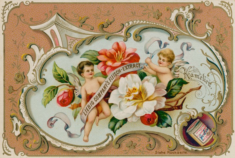 Camellia by European School