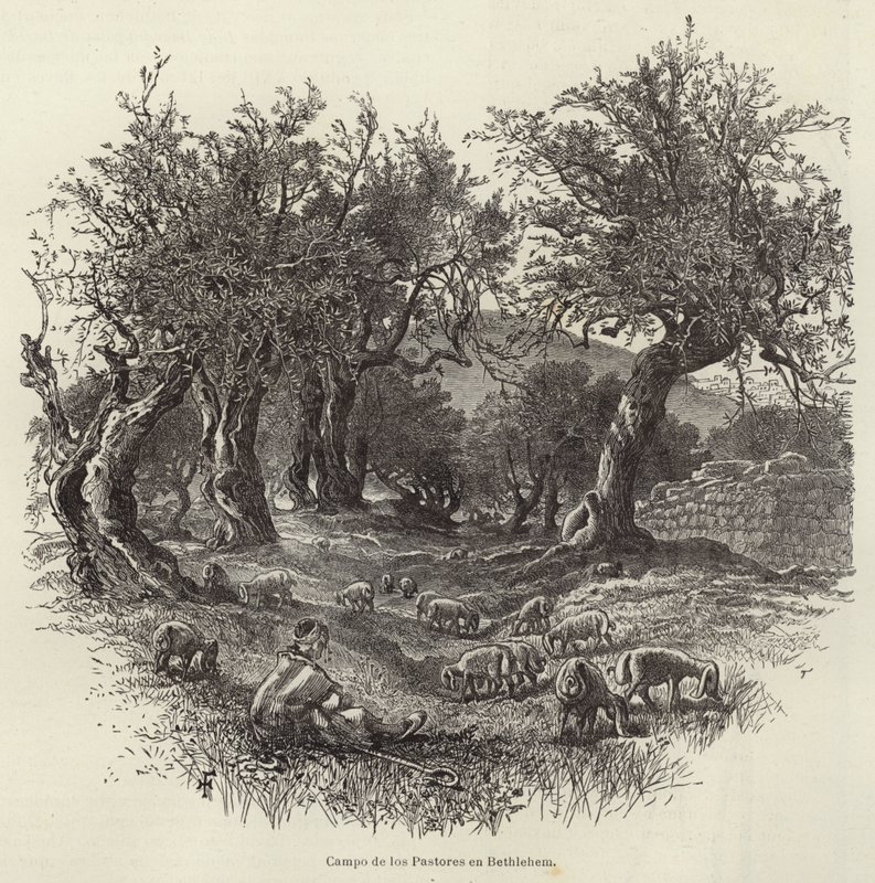 Field of the Shepherds in Bethlehem by European School