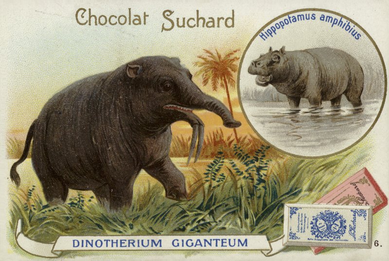 Deinotherium Giganteum and hippopotamus by European School