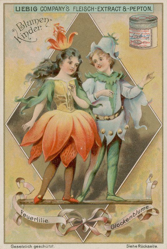 Fire Lily and Bluebell by European School