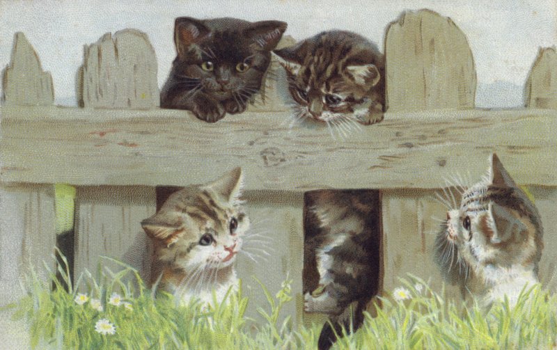 Four Kittens by a Fence by European School