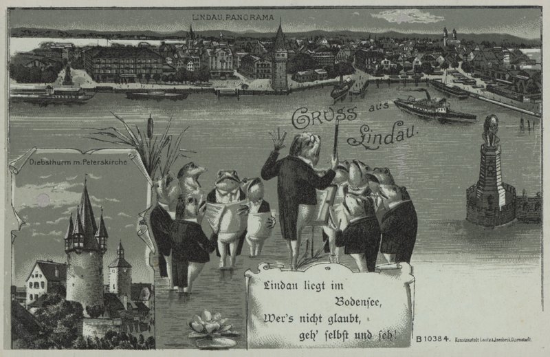 Frog Concert at Lindau by European School