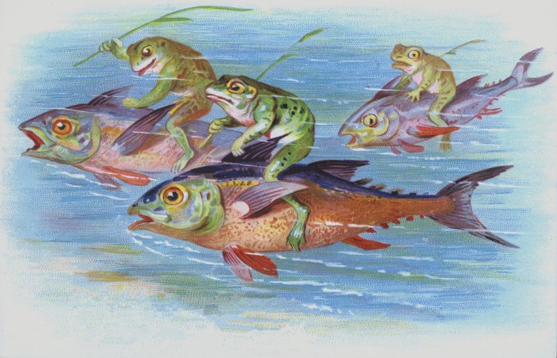 Frogs riding fishes by European School