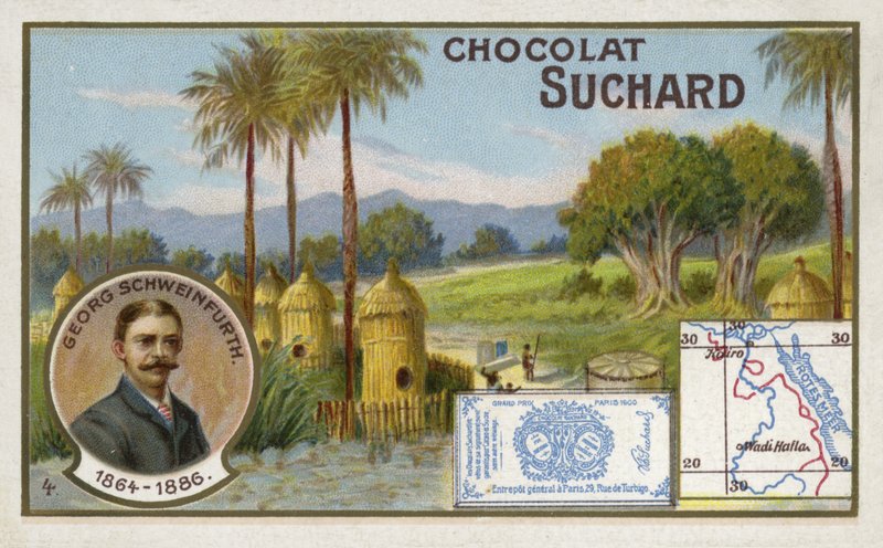 Georg Schweinfurth, German botanist and explorer by European School