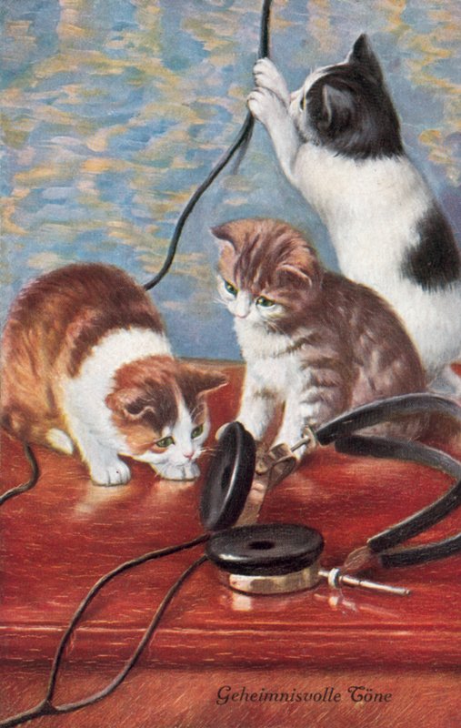 Humorous cat postcard by European School